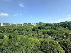 Blk 910 Jurong West Street 91 (Jurong West), HDB Executive #544094601